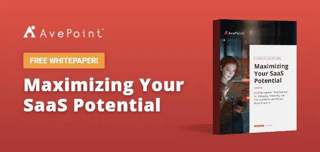 Maximizing-Your-SaaS-Potential